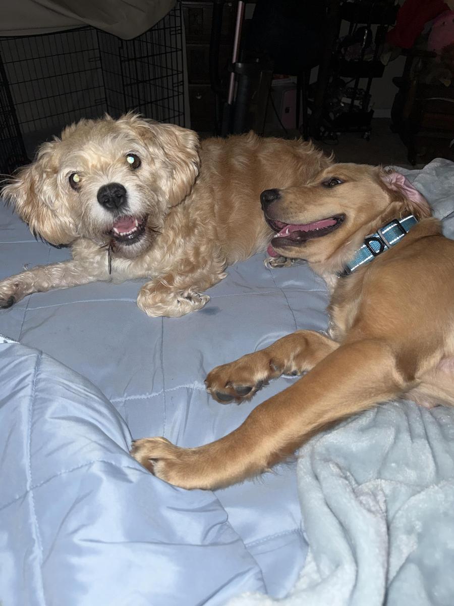 Item: 10 count pouch