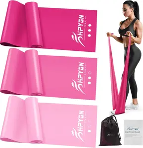 Resistance Bands, Exercise Bands, Physical Therapy Bands for Strength Training, Yoga, Pilates, Stretching, Stretch Elastic Band with Different Strengths, Workout Bands for Home Gym