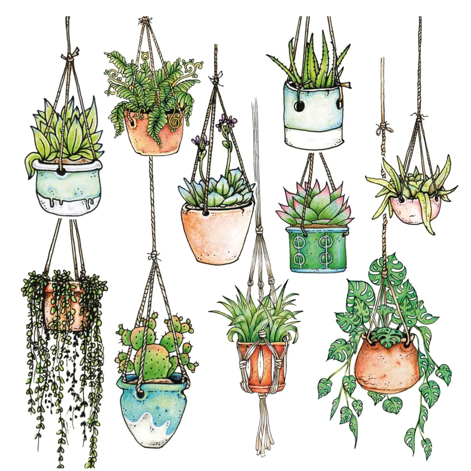 10 x Hanging Plant Laptop Stickers for Women | Cute Laptop Decals | Original Design Plant Stickers for Laptop | Easy Peel and Stick | Removable | Also Perfect for Water Bottles | Journals