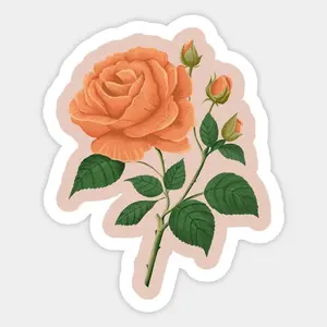 Aesthetic rose, flower, floral, cute rose - Flower - Sticker