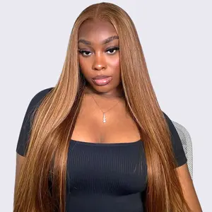 OhMyPretty Pre Cut Highlight Ombre 4/27 Color Wear Go Glueless Wigs 6x4 Straight Lace Wig