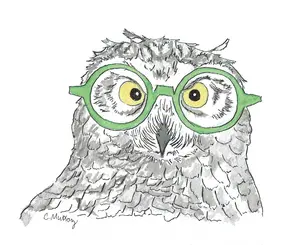 Green Specs Card Featuring Quirky Snowy Owl in Green Glasses 4.25 x 5.5 Inch with White Envelope for Easy Gifting Charming Design Perfect for Any Occasion