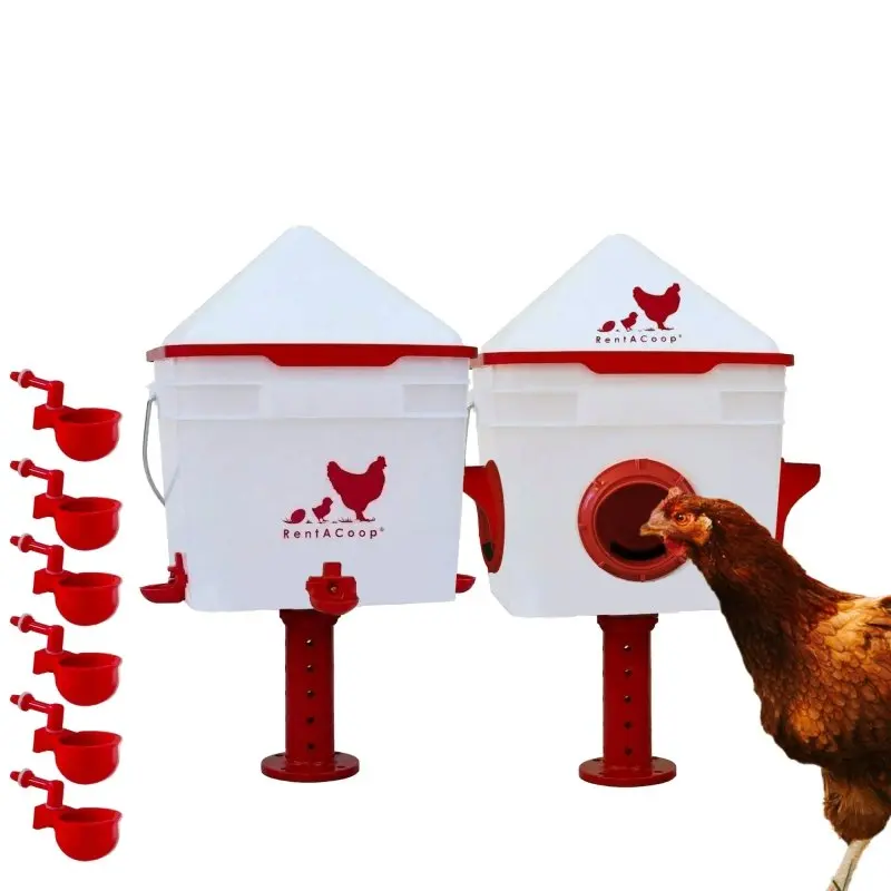 Chick2Chicken 10lb Chicken Feeder and 2 Gal Waterer Feeding