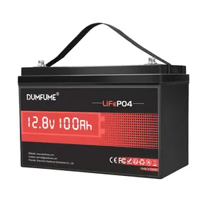12V 100Ah LiFePO4 Lithium Battery Built-in 100A BMS, Group 31 Rechargeable Battery 6000+ Cycles 1280Wh Perfect for RVs MotorHomes, Camper, Solar System, and Off-Grid