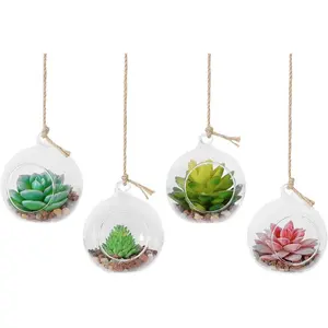 4 Pack Hanging Glass Globe Air Planter Terrarium Vase with 39 inch Sling (Not Included The Plants)
