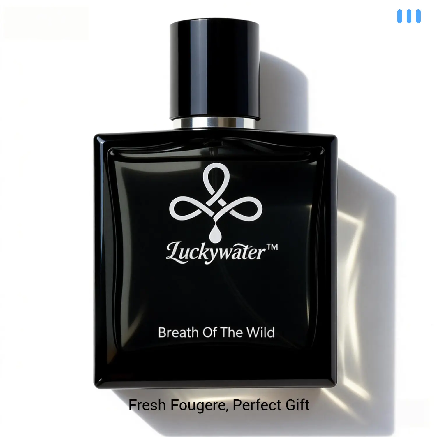 Men's aromatic fougere eau de parfum, clean and fresh. Ideal for travel, casual dates, post-workout, or office daily. Valentine's gift for boyfriend. mens natural spray cologne, perfume original hombre, regalos para hombre, cologne for men, gifts for men.