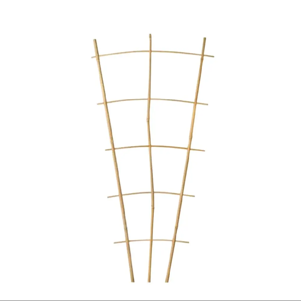 Bamboo Fan Trellis