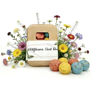 6Pack Colorful Wildflower Seed Ball Plantable Paper Favors, Easter Basket Essentials - Handmade Non-GMO, Gardening Gift for Beginner, Kids & Adults2026