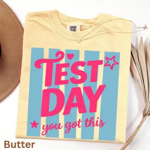 Test Day Shirt, Matching State Testing Shirts, Teacher Team TShirts, Comfort Colors, Gen Z School Testing Day Tee, Testing Coordinator Shirt