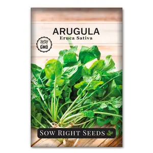 Arugula Seeds