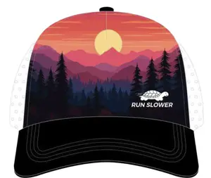 Summit Silence - PERSISTENCE, PATIENCE, PROGRESS