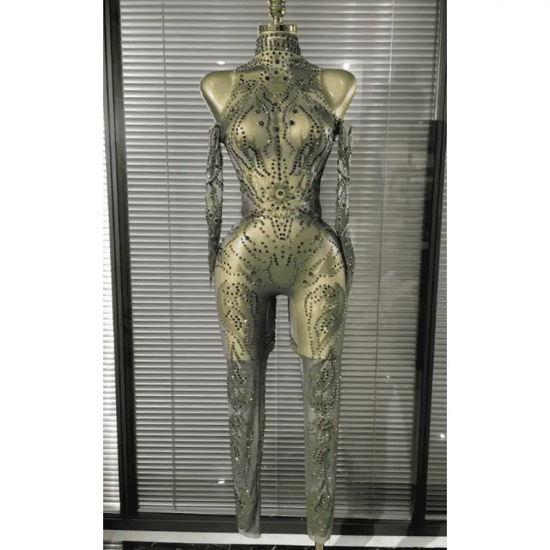 Women's Bodycon Jumpsuit in Sheer Mesh, Sexy Fitted Sleeveless Fashion Outfit with Illusion Panels for Nightclub Wear, Fashion Jumpsuit, Party Jumpsuit