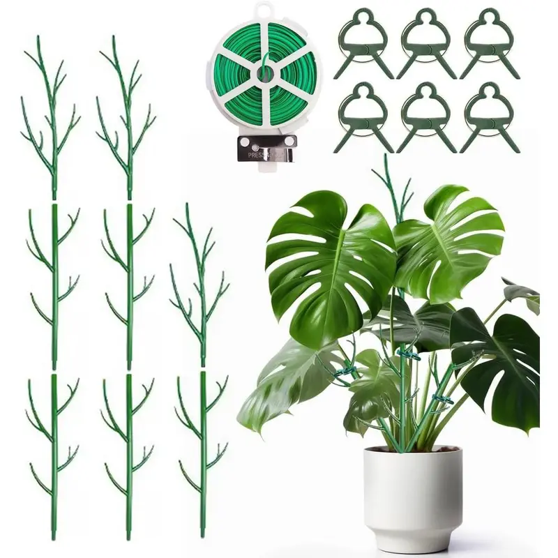 peace lily where to buy Peace Lily for Sale