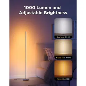 Govee RGBIC Floor Lamp Basic, 1000lm LED Corner Lamp Compatible with SmartThings, Alexa, and Matter, Modern Floor Lamp with Music Sync and 16 Million DIY Colors, Standing Lamp for Bedroom Living Room
