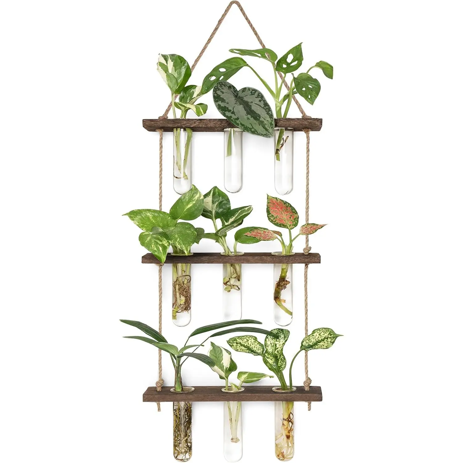 3-Tiered Wall Hanging Glass Propagation Tube Planter with 3-Tiered Wooden Frame - 30'' H x 7.9'' W Hydroponics Station, Brown Small Hydroponic Vase w/ Cleaning Brush, Manufacturer Warranty for Home Decor