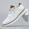 Men's Business Low-Top Casual Sports Shoes, Casual Trainers, Breathable Comfortable Comfy Formal Shoes, Fashion Lace Up Lightweight Comfy Breathable Daily Walking Shoes for Boys