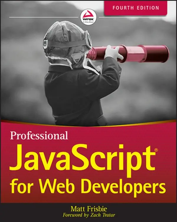 USED-Professional JavaScript for Web Developers by Frisbie, Matt (Paperback)