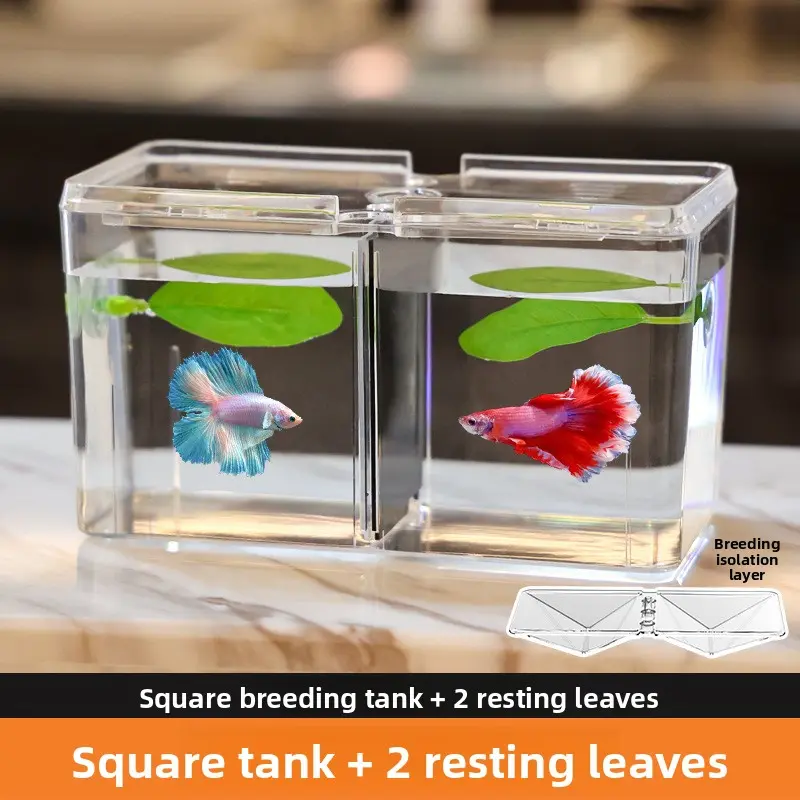 Breeding tank + 2 resting leaves