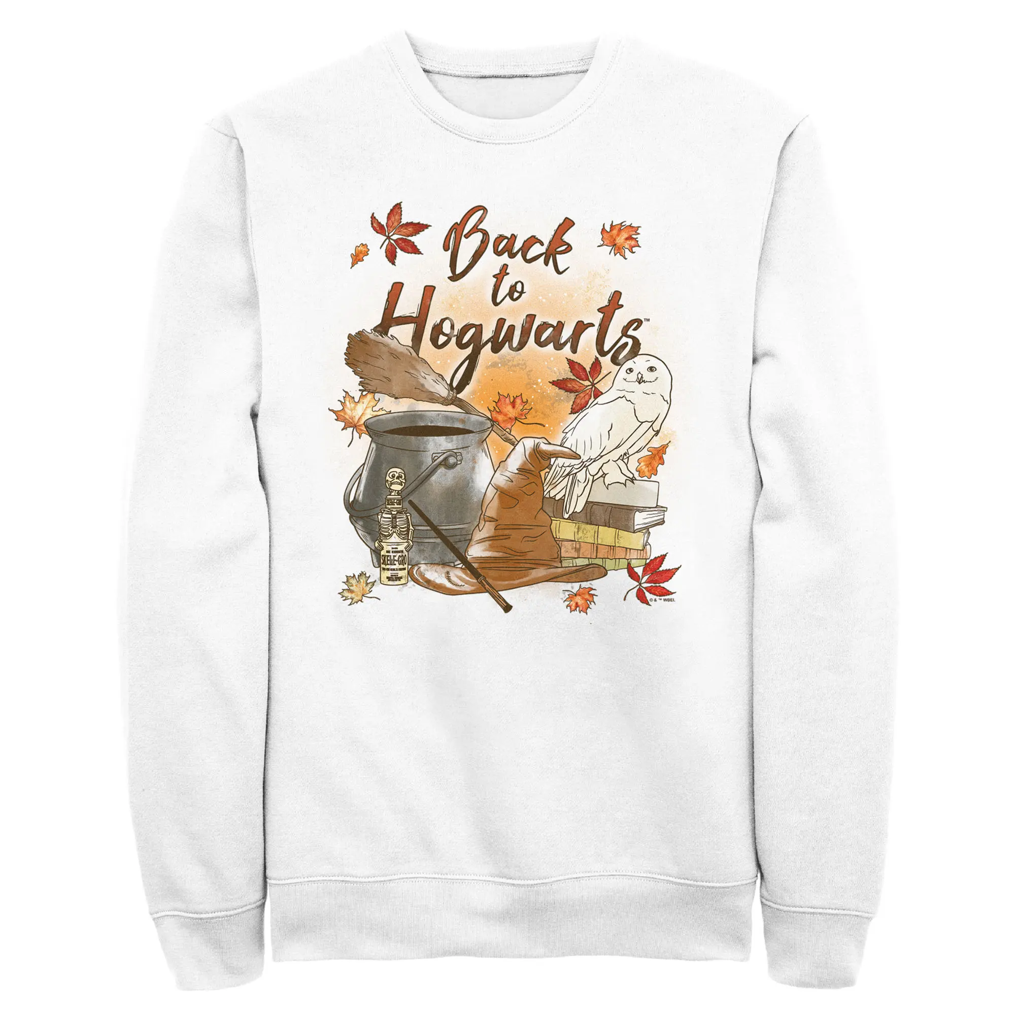 Men's Harry Potter Chamber of Secrets Hedwig Back to Hogwarts Sweatshirt