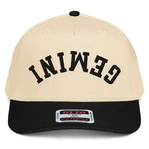 RIVEMUG NX1 Upside Down Gemini Embroidered 2 Tone Hat Mid Crown Curved Bill Snapback Cap for Men and Women