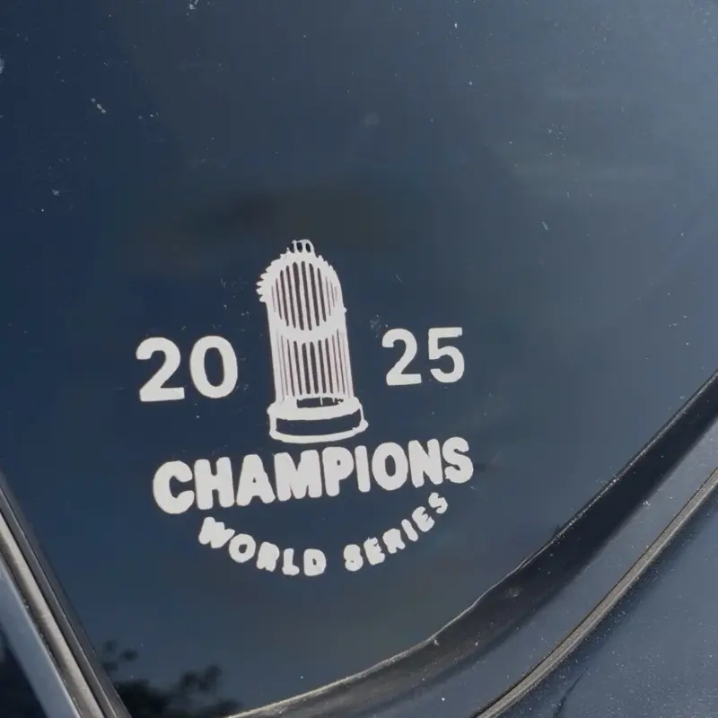 2025 WS car decal