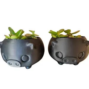 Pig Pots with Jade Plant - Black Pig-Shaped Design, Cute and Unique, Ideal for Indoor Plants