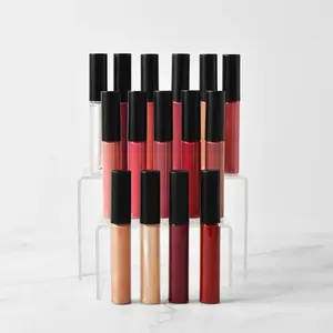 DTD Shimmer Lip Gloss