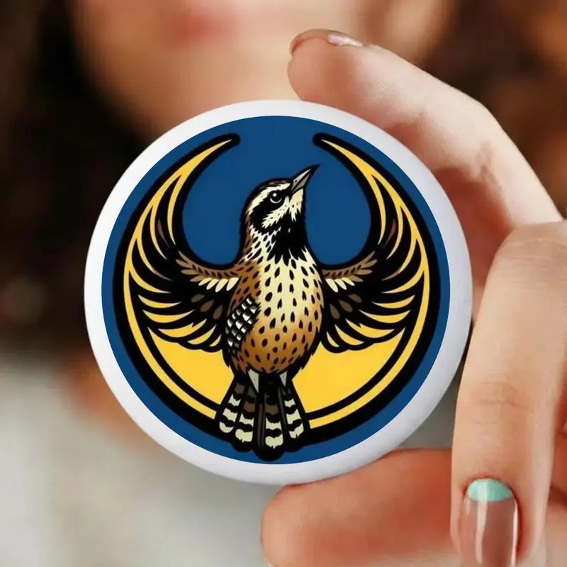 Kansas Logo Button Pin – Colorful Star Graphic Badge for Jackets & Bags