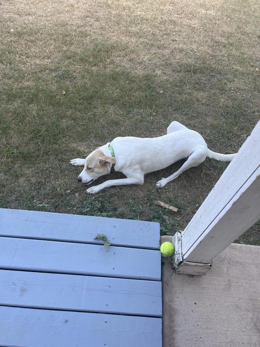 Item: 10 count pouch