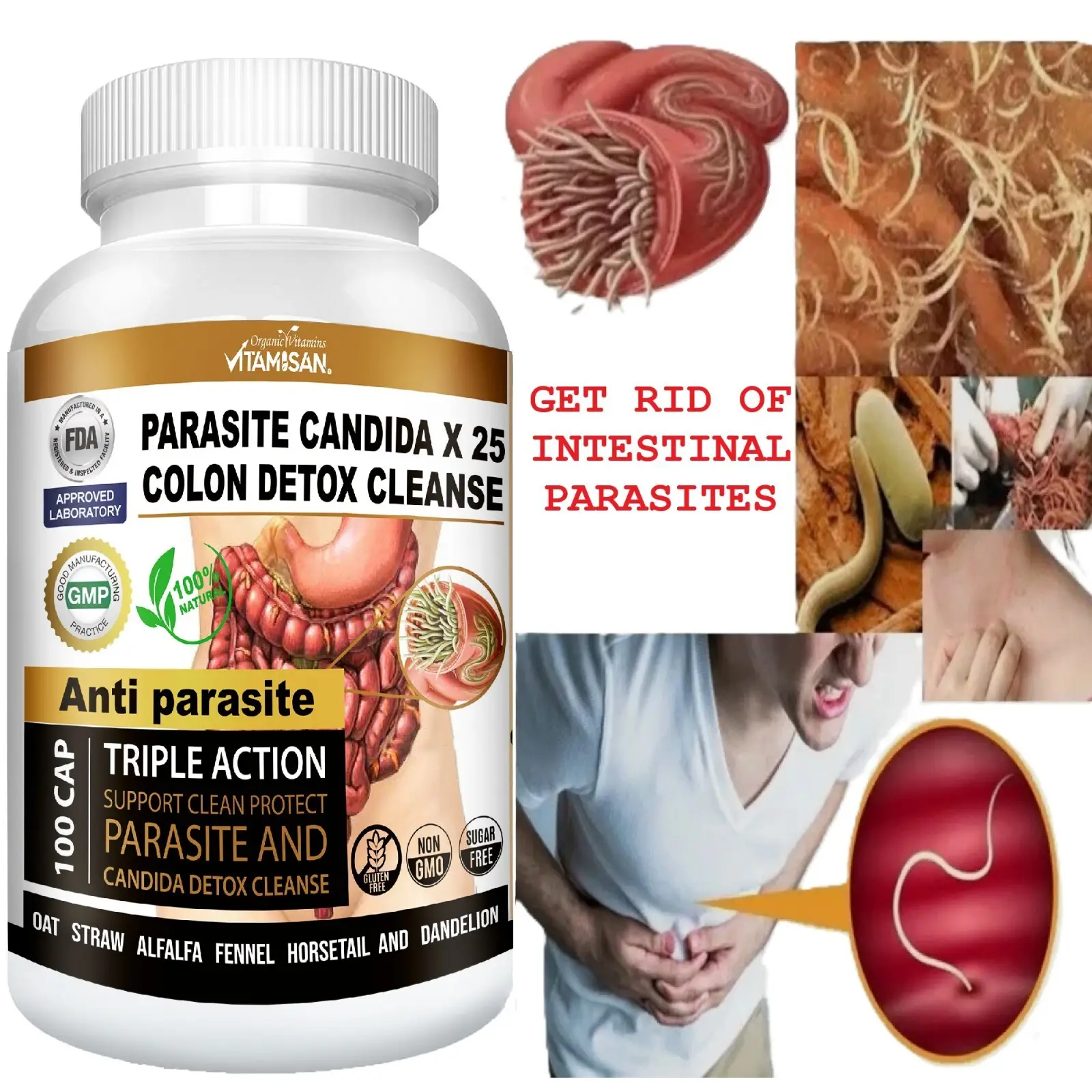 PARASITE DETOX BODY CLEANSE Complex Anti- PARASITE Support Cleanse 100 quick Herbal Energy Supplement Natural