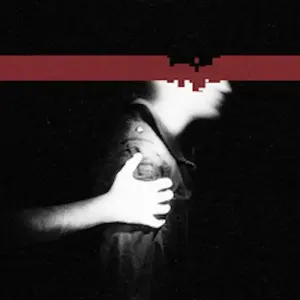 Nine Inch Nails - The Slip [With DVD] [Digipak] [Limited Edition]                        [COMPACT DISC - CD] Ltd Ed, With DVD, Digipack Packaging