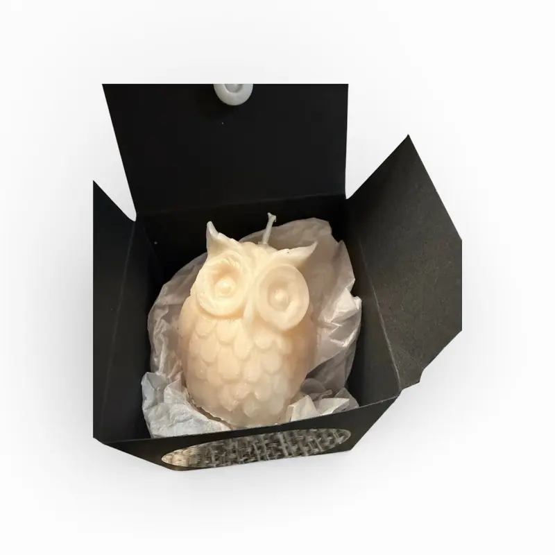 Graduation Keepsake - Elegant Black Box with Customizable Owl-Shaped Candle for Personalized Gift or Table Décor