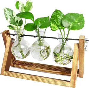 Plant Propagation Station,Bulb Plant Terrarium with Wooden Stand,Unique Gardening Gifts for Women Plant Lovers,Hydroponic Indoor Planter Home Office Garden Wedding Decor - 3 Bulb Glass Vases