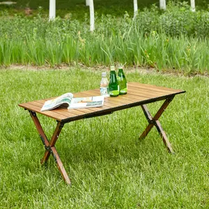 Eyisean 37" Modern Lightweight Aluminum Folding Outdoor Picnic Table, Durable Rectangular Camping Table with Waterproof, Low Portable Roll-up Tables for Camping, Backyard, BBQ, Beach