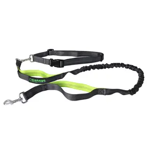 212 Main HBL-48GR 4 ft. Hands-free Bungee Leash, Green