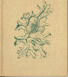 USED-Free-form bargello by Gigs Stevens (Hardcover)