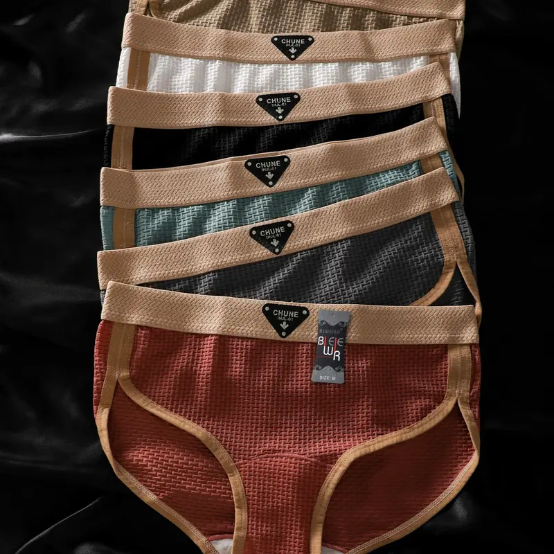 6 Pcs Biweier Women's Triangle Briefs Panties, Elastic Comfort, Soft Smooth Plaid Design, Ideal for Home & Commute, Perfect Gift for Her