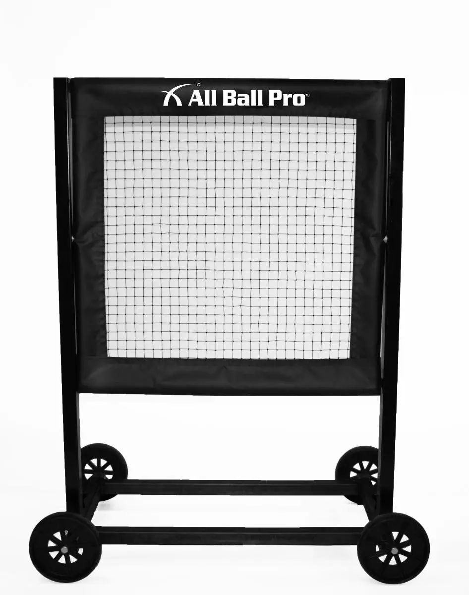 All Ball Pro Stinger x Rebounder Wall