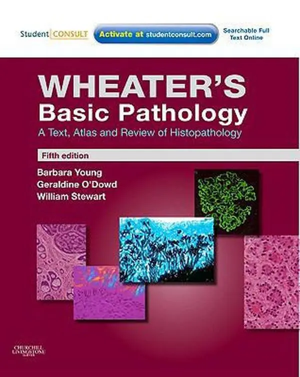 USED-Wheater's Basic Pathology: A Text, Atlas and Review of Histopathology: With STUDENT CONSULT Online Access (Wheater's Histology and Pathology) by William Stewart BSc  MBChB  PhD  DipFMS  MRCPath (Paperback)
