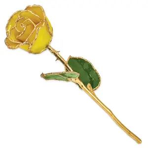 Lacquer Dipped Gold Trimmed Yellow Real Rose