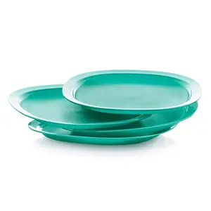 Microwave Reheatable~Luncheon~Plates