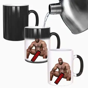 Perfect Novelty Gag Gift, Funny Magic Mug, Best Funny Gifts and Pride Accessories, unique ceramic coffee mug