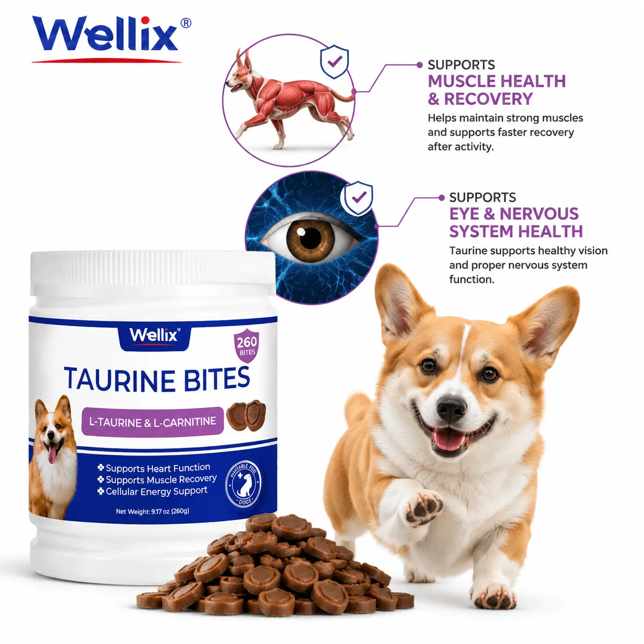 Wellix 9.17 oz, 25% Taurine for Dogs - Healthy Heart Supplements for Dog Chewable with CoQ10, Fish Oil, Vitamins, L-Carnitine - Heart Muscle Function & Cardiovascular Health, Antioxidant Support