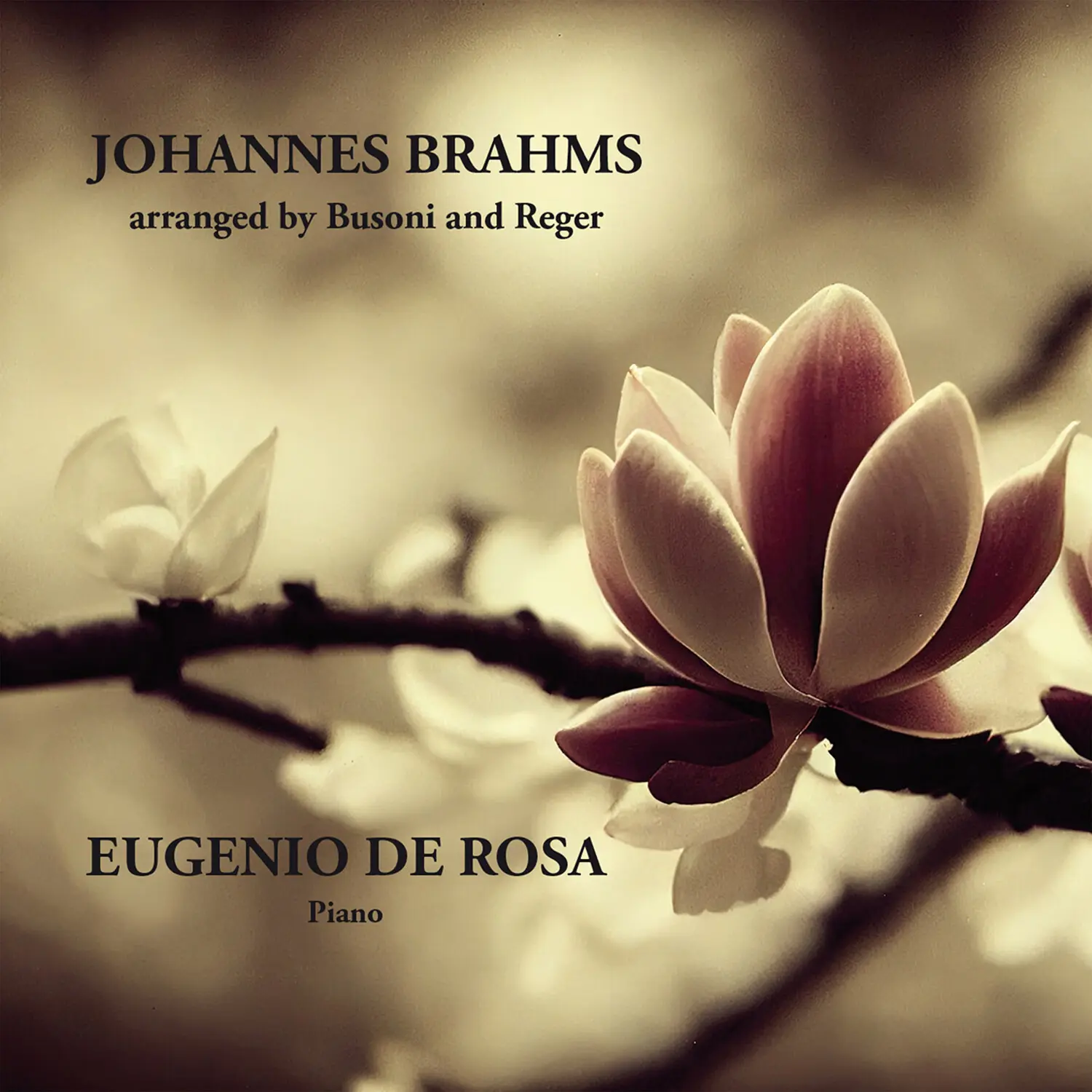 Johannes Brahms - Brahms: Arranged by Busoni & Reger  [COMPACT DISC - CD]