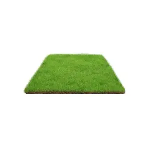All Season Grass Seed Low Maintenance Full Coverage Yard Repair Seed Drought Tolerant Fast Growing Traffic Resistant Pet Friendly for Family Yards