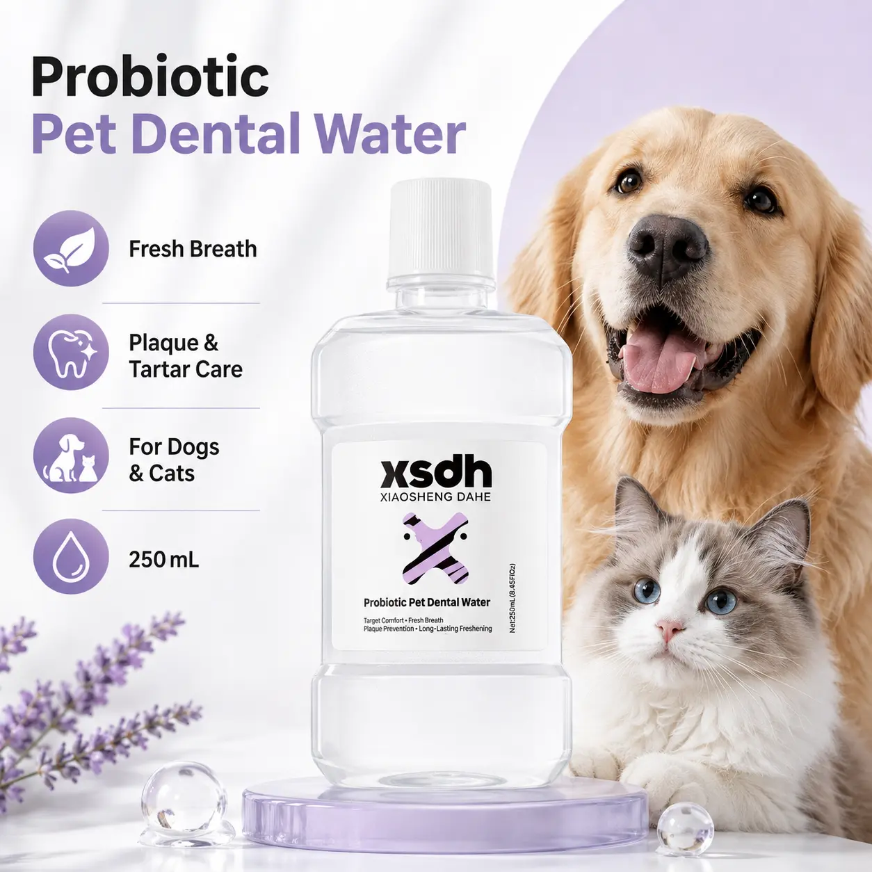 Probiotic Pet Dental Water Additive for Dogs & Cats, 250 mL, Daily Oral Care and Fresh Breath Support, Enzyme, Biotin B7 & Prebiotic Formula