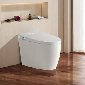 Tankless Smart Toilet With Bidet Built In, One-piece Bidet Toilet Seat, Auto Flush,Heated Seat, Warm Water and Dry, Adjustable Temp,Remote Control Side Know