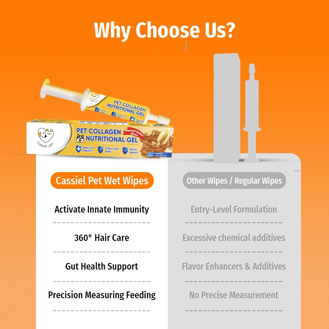 Cassiel Pet, Pet Nutrition Gel, Daily Wellness, Shiny Coat & Energy, Supports Digestive Health, Essential for Dogs, Electrolytes Gel for Beach Camping Hiking, Peanut Butter Flavor, Dog Lover, Pet Nutrition