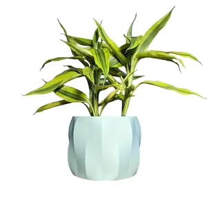 A2G Print Labs - HexaPot - 3D Printed Flower Pot