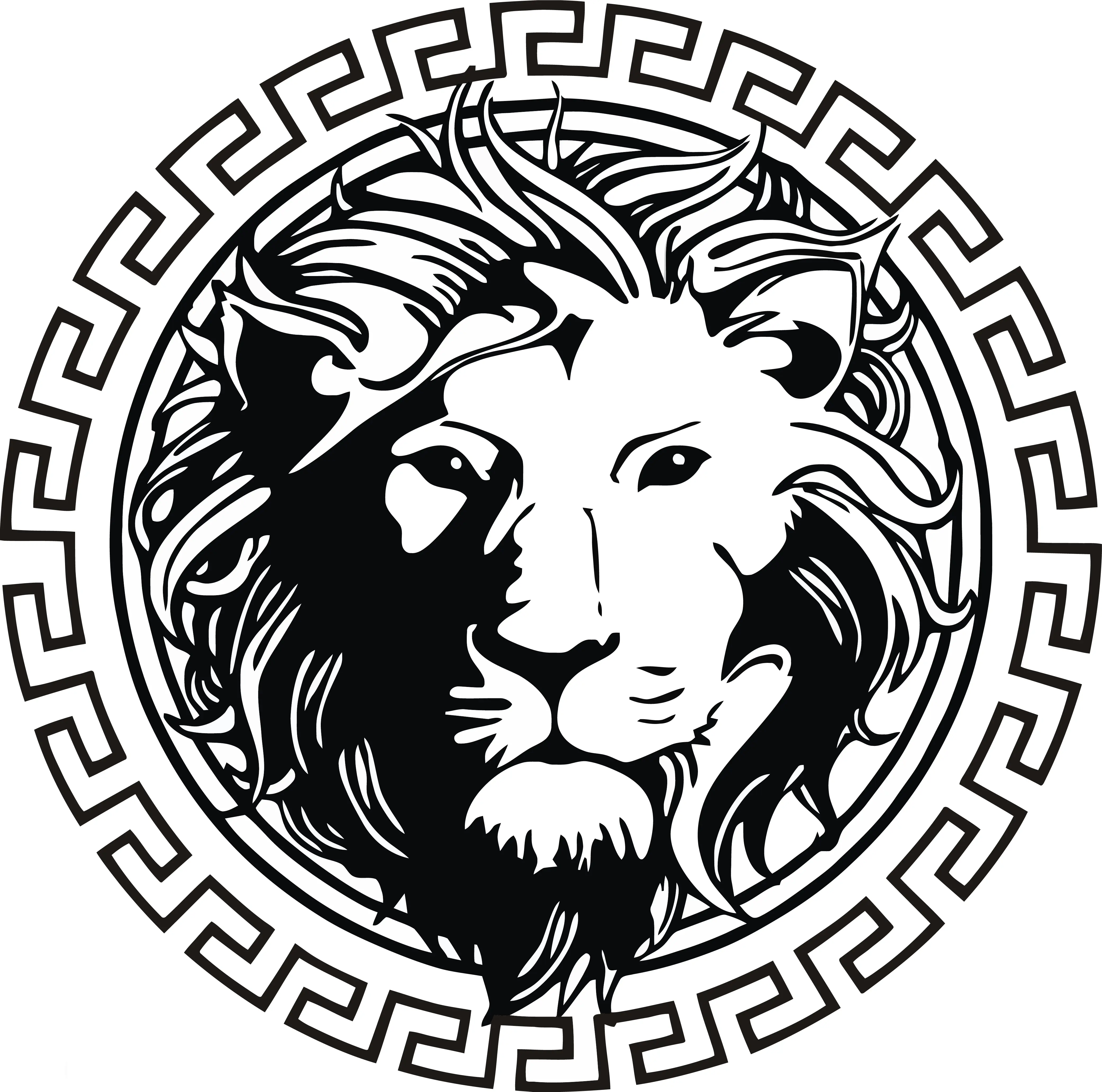 León Car Sticker - Durable Vinyl Material for Weather Resistance
